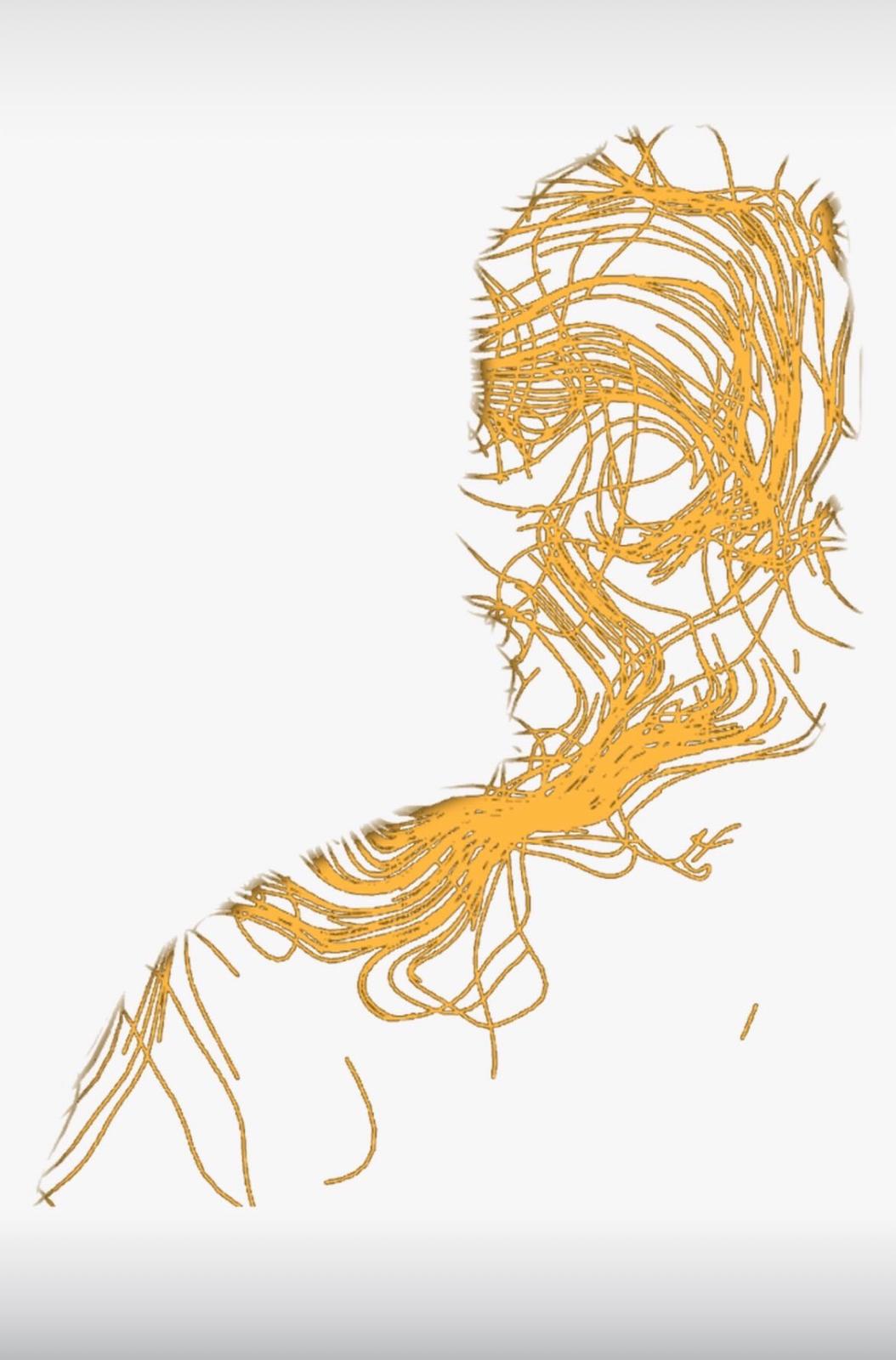 Live audiovisual performance still — figure drawn in flowing orange line